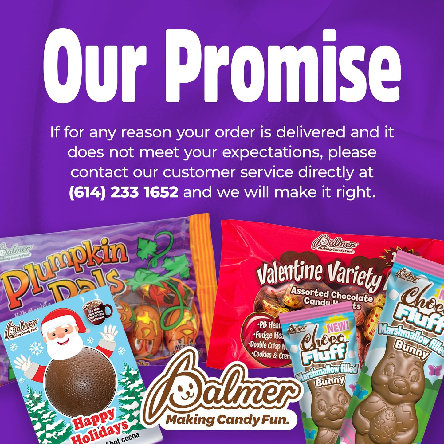 R.M. Palmer Milk Chocolate Gold Coin Half Dollars, Bulk Bag, Fun Sized, Treats, Candy, and Snacks (1 Pound, 12 Mesh Packs)
