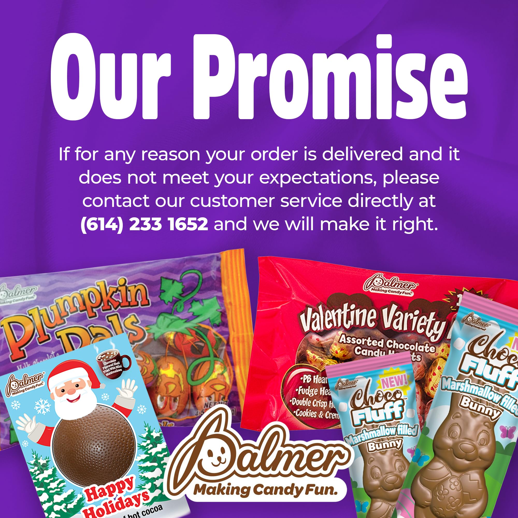 R.M. Palmer Milk Chocolate Gold Coin Half Dollars, Bulk Bag, Fun Sized, Treats, Candy, and Snacks (1 Pound, 12 Mesh Packs)