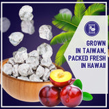 Asia Trans Seeded White Li Hing Mui Crack Seed Plums | Hawaiian Favorite | Salty, Sour, & Bitter Dried Asian Plum Candy