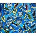 JollyRanchar Gummies Candy Original 1lb, Individually Wrapped Bulk in Sealed Bags, Green Apple, Blue Raspberry, Cherry, Grape and Watermelon Flavors
