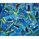 JollyRanchar Gummies Candy Original 1lb, Individually Wrapped Bulk in Sealed Bags, Green Apple, Blue Raspberry, Cherry, Grape and Watermelon Flavors