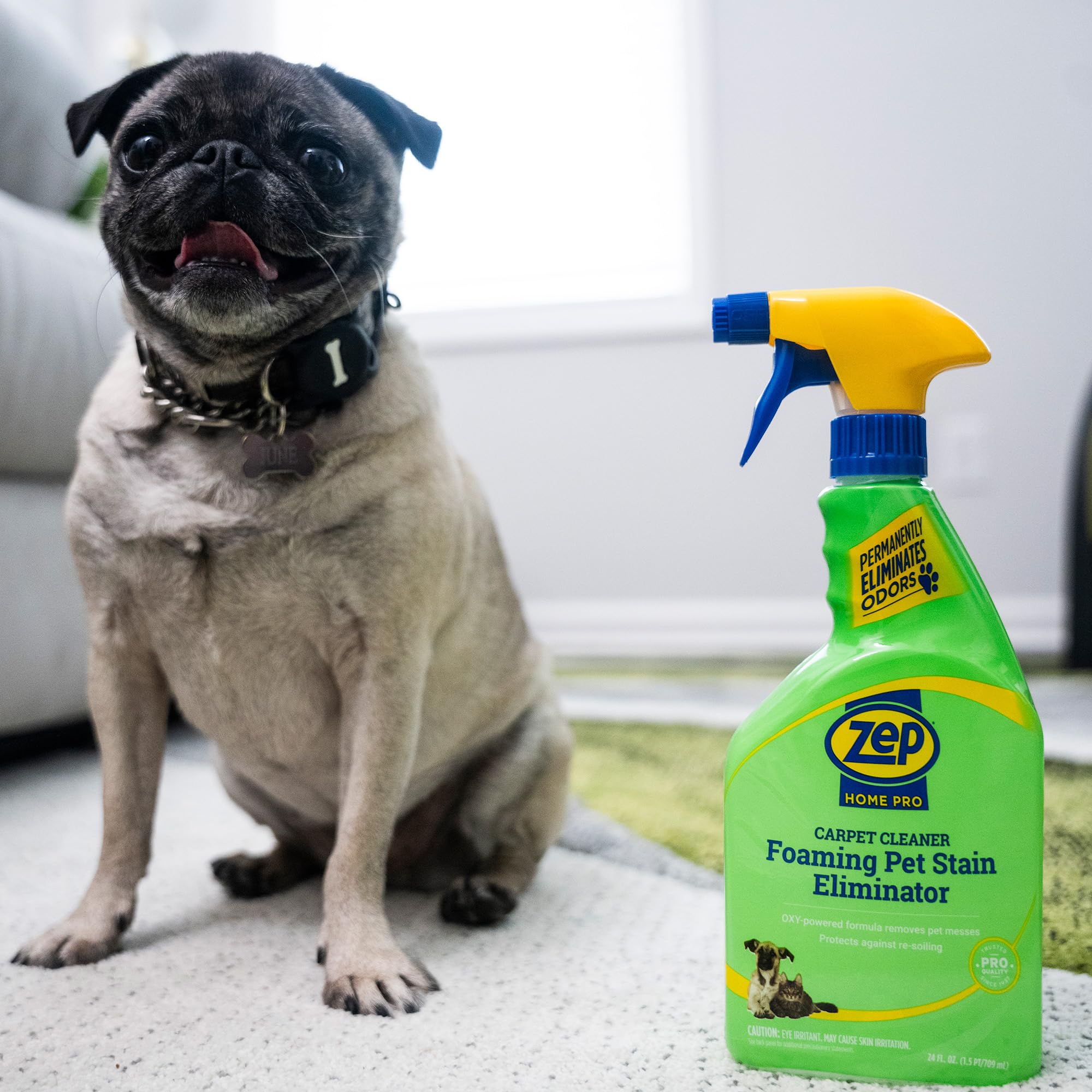 Zep Home Pro Foaming Pet Stain Eliminator - 24 Fl. Oz. - R53206 - Permanently eliminates indoor dog and cat odors from your home furnishings