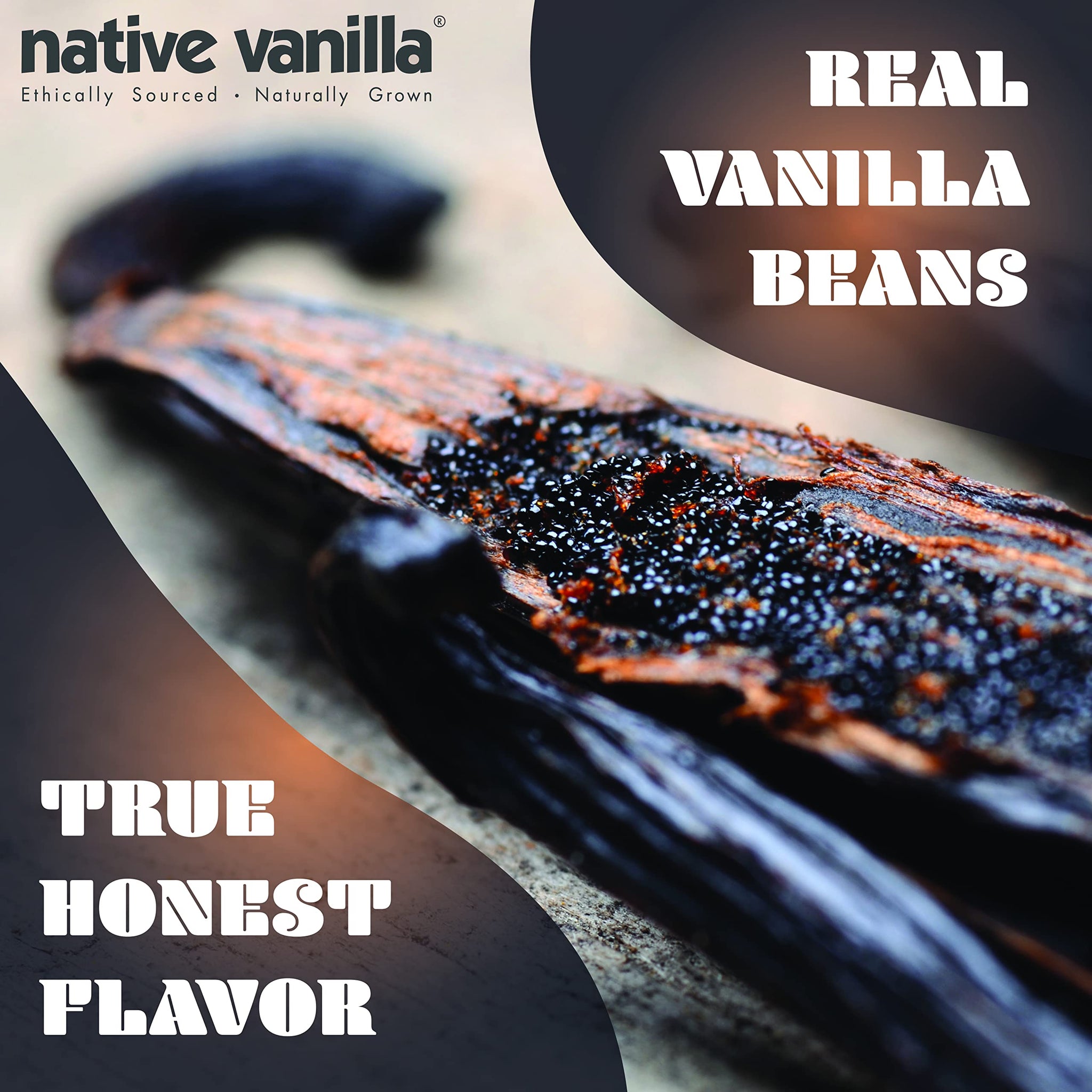 25 Organic Madagascar Vanilla Beans - Gourmet Grade A Premium Vanilla Pods - For Vanilla Extract & Baking - For Cooking, Desserts & More - 100% Vegan