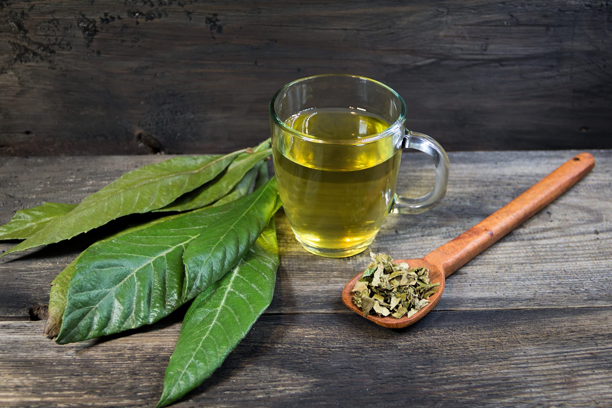 Loquat Leaves 2 oz, Hojas de Níspero Secas, Loquat Leaves Tea, Resealable Bag, Loquat Tea, Dried Leaves
