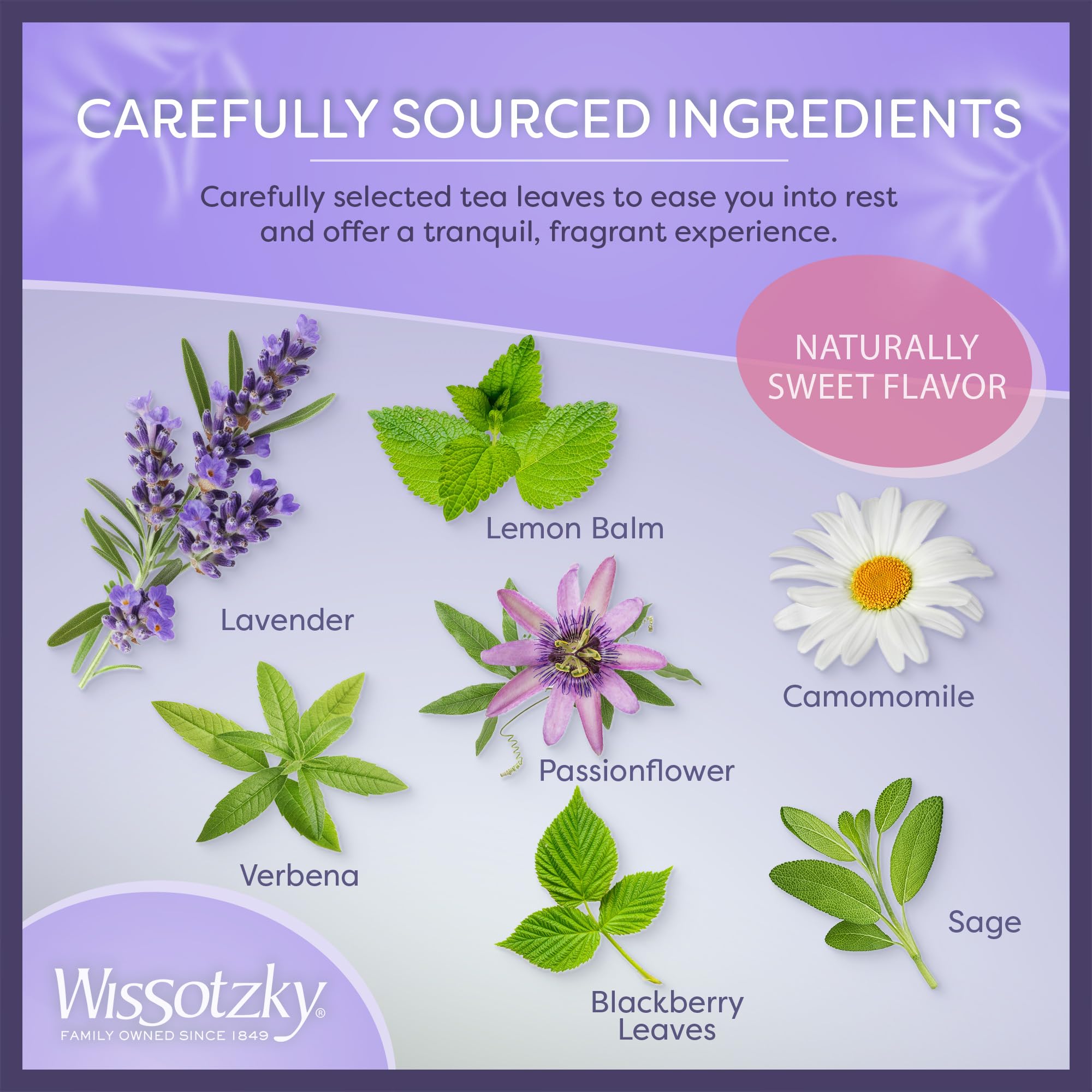 Wissotzky Herbal Wellness Sleep Tea, 20 Teabags | Soothing & Relaxing | Caffeine Free Tea | Natural Sleep Benefits