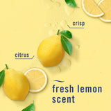 Febreze Kitchen Air Freshener, Odor-Fighting, Plug In Alternative, Air Fresheners for Home and Bathroom and Kitchen, Closet Air Fresheners, Fresh