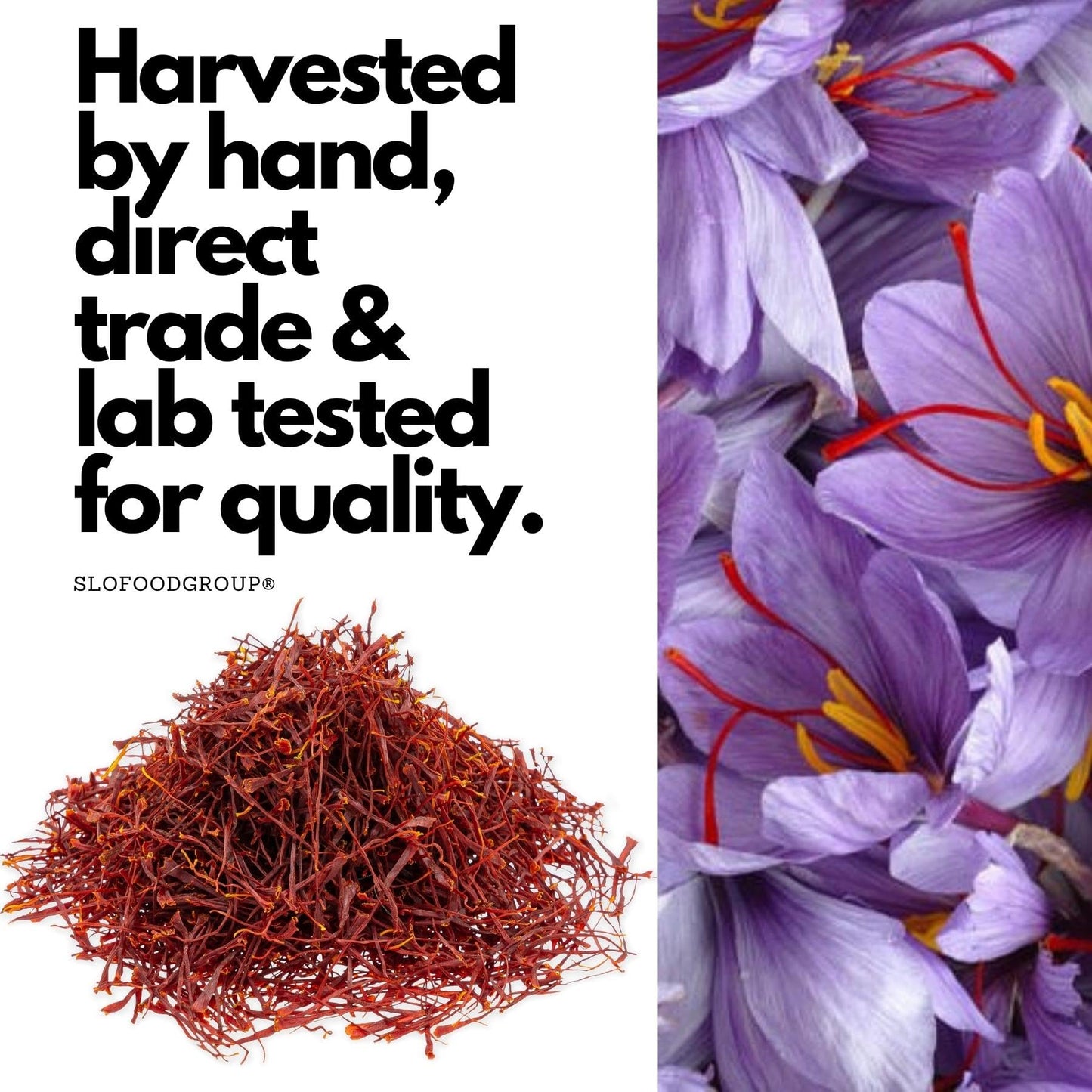 Persian Saffron Spice from Afghanistan by Slofoodgroup, Premium Quality Saffron Threads, All Red Saffron filaments for cooking, tea, Baking and More
