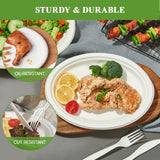 Vplus 100% Compostable Oval Paper Plates 12 inch 125 Pack Super Strong Disposable Paper Plates Bagasse Natural Biodegradable Eco-Friendly Sugarcane