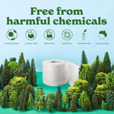 Caboo Tree Free Toilet Paper, Septic Safe Toilet Tissue, Plastic Free, Non Toxic, Chemical Free, 2 Ply Bathroom Toilet Paper | Pack of 12 Double