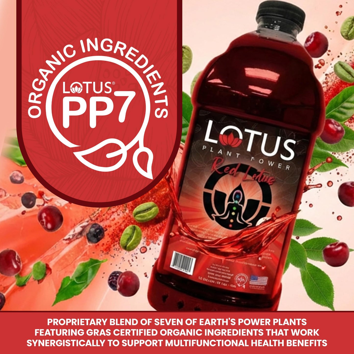 Red Lotus Plant Power® Energy Drink Concentrate | Natural Caffeine & PP7™ Formula | Plant-Based Organic Ingredients | Organic Cane Sugar Beverage |