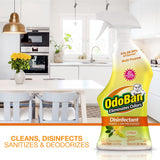 OdoBan 360-Degree Continuous Spray Natural Oil Real Citrus Orange Air Freshener, 10 Ounce, and Multipurpose Disinfectant Cleaner, 32 Ounce Spray, Made