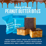 For Noshers Only - Peanut Butter Bites - Kosher Dairy Free Vegan Gluten Free Chocolate Peanut Butter Crispy Rice Treats - Vegan Dessert, Sweet Snack