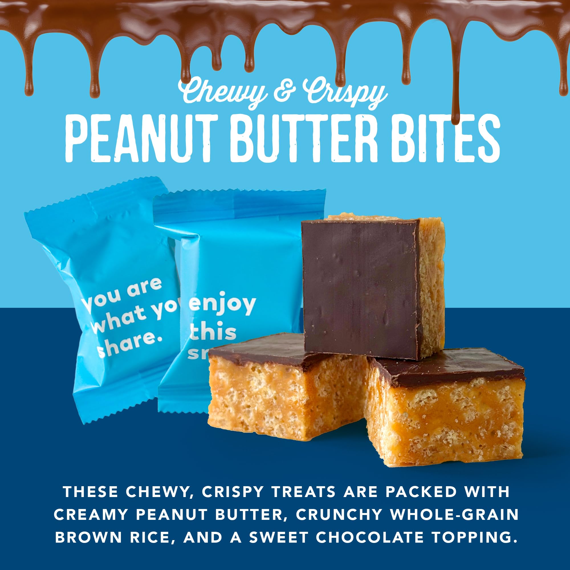 For Noshers Only - Peanut Butter Bites - Kosher Dairy Free Vegan Gluten Free Chocolate Peanut Butter Crispy Rice Treats - Vegan Dessert, Sweet Snack