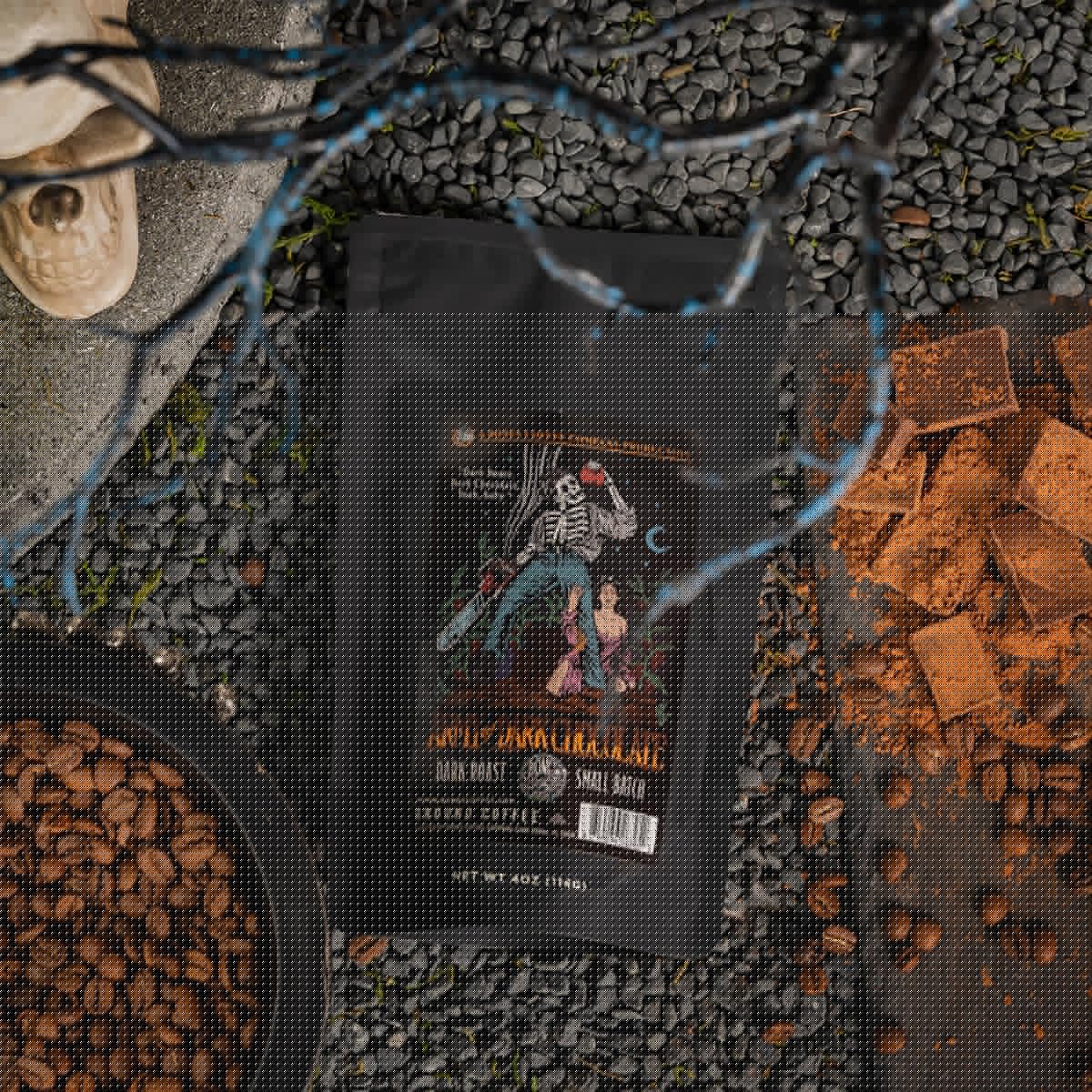 Bones Coffee Company NEW Favorite Flavors Sample Pack, Assorted Flavored Coffee Low Acid Medium Roast Arabica Beans Specialty Coffee Gifts, Auto Drip