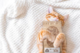 Kitty Town Coffee: The Albert Blend Light Roast Coffee From Brazil & Costa Rica 2lb (32oz) Ground