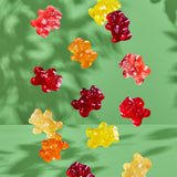 Black Forest Organic Gummy Bears Candy, 4.5 Ounce Bags (Pack of 12)