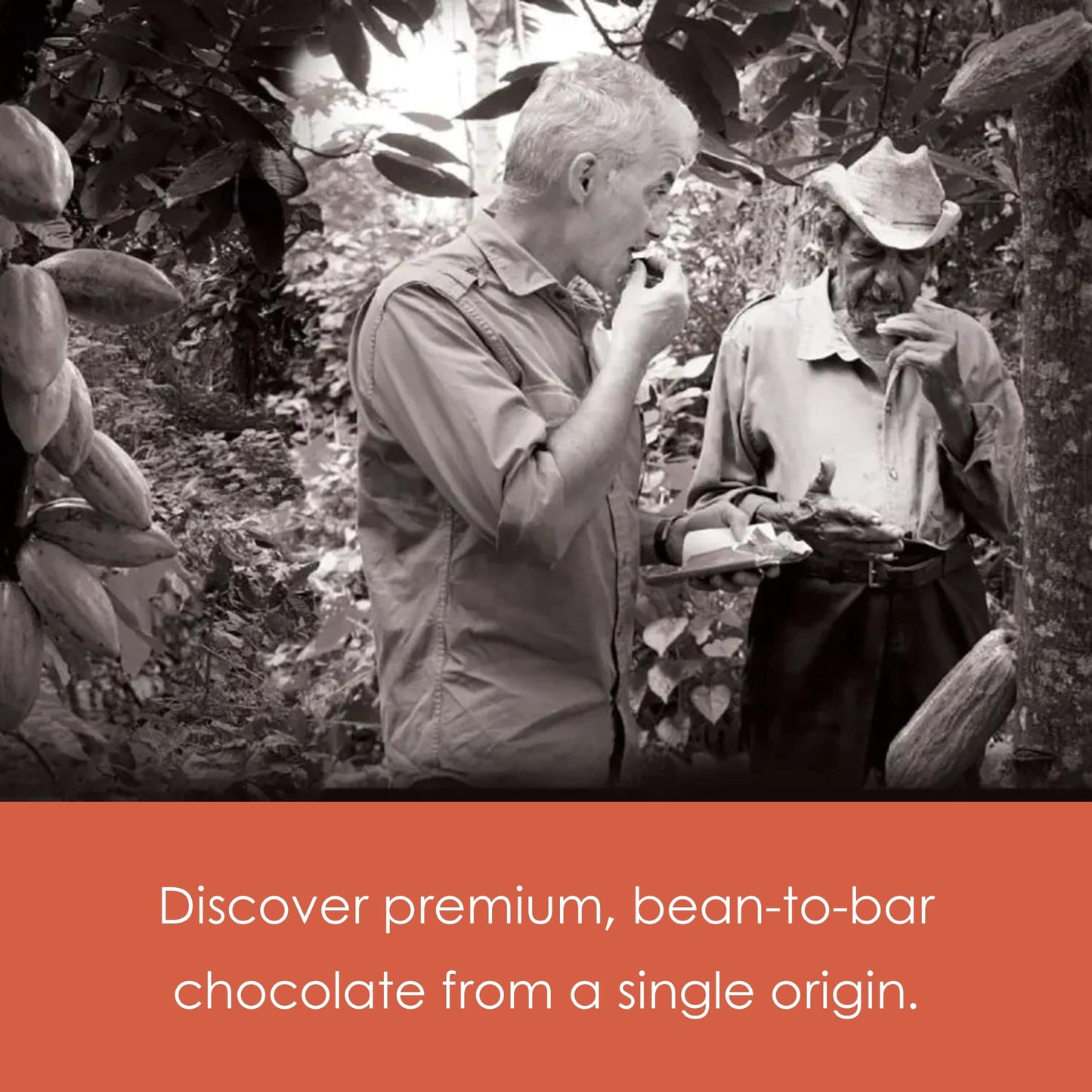 Bonnat Hacienda El Rosario 75% Dark Chocolate 3 Pack - French Chocolate - Bean-to-Bar, Family Owned - Soy-Free, Gluten-Free, Vegan, Kosher - Bundle