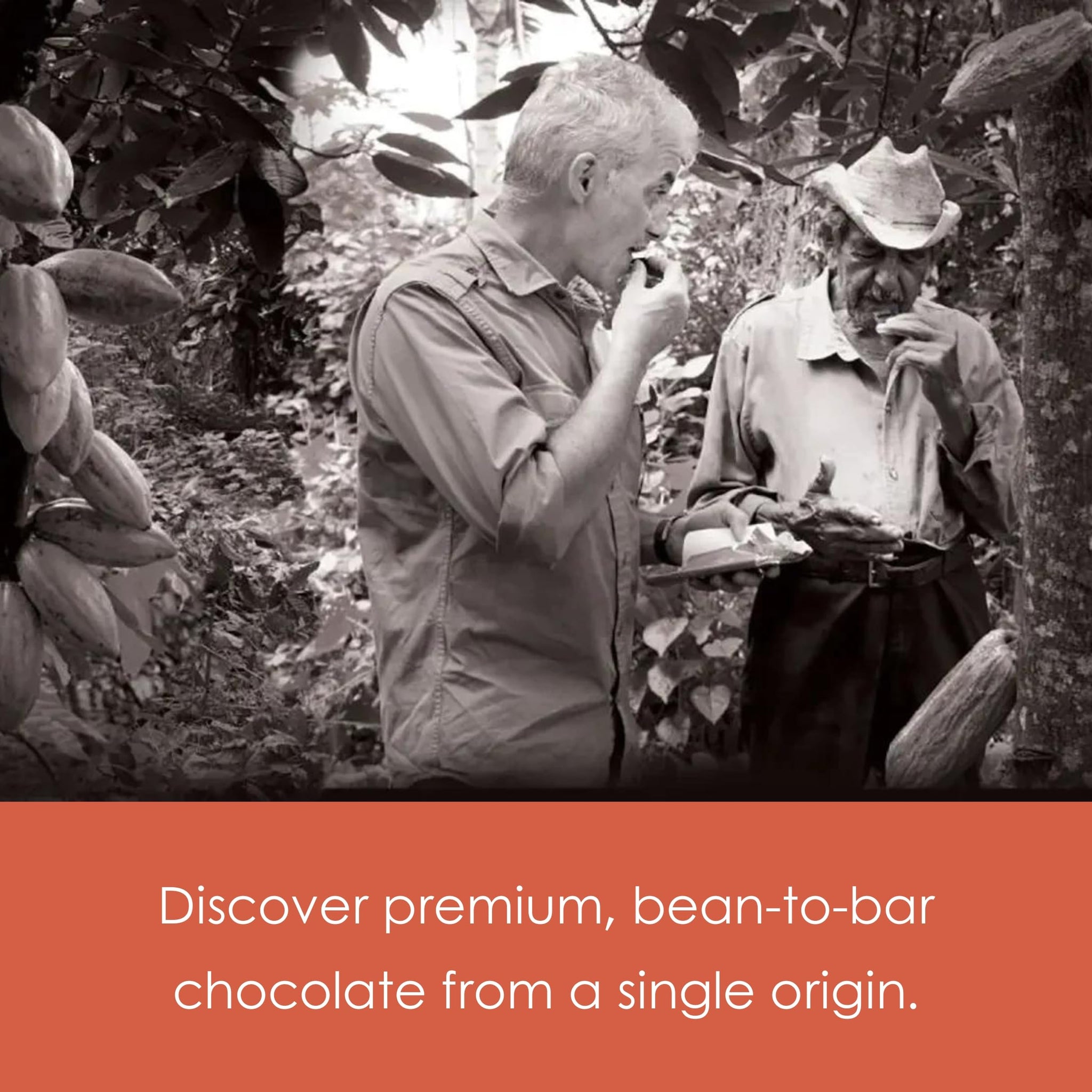 Bonnat Hacienda El Rosario 75% Dark Chocolate 3 Pack - French Chocolate - Bean-to-Bar, Family Owned - Soy-Free, Gluten-Free, Vegan, Kosher - Bundle