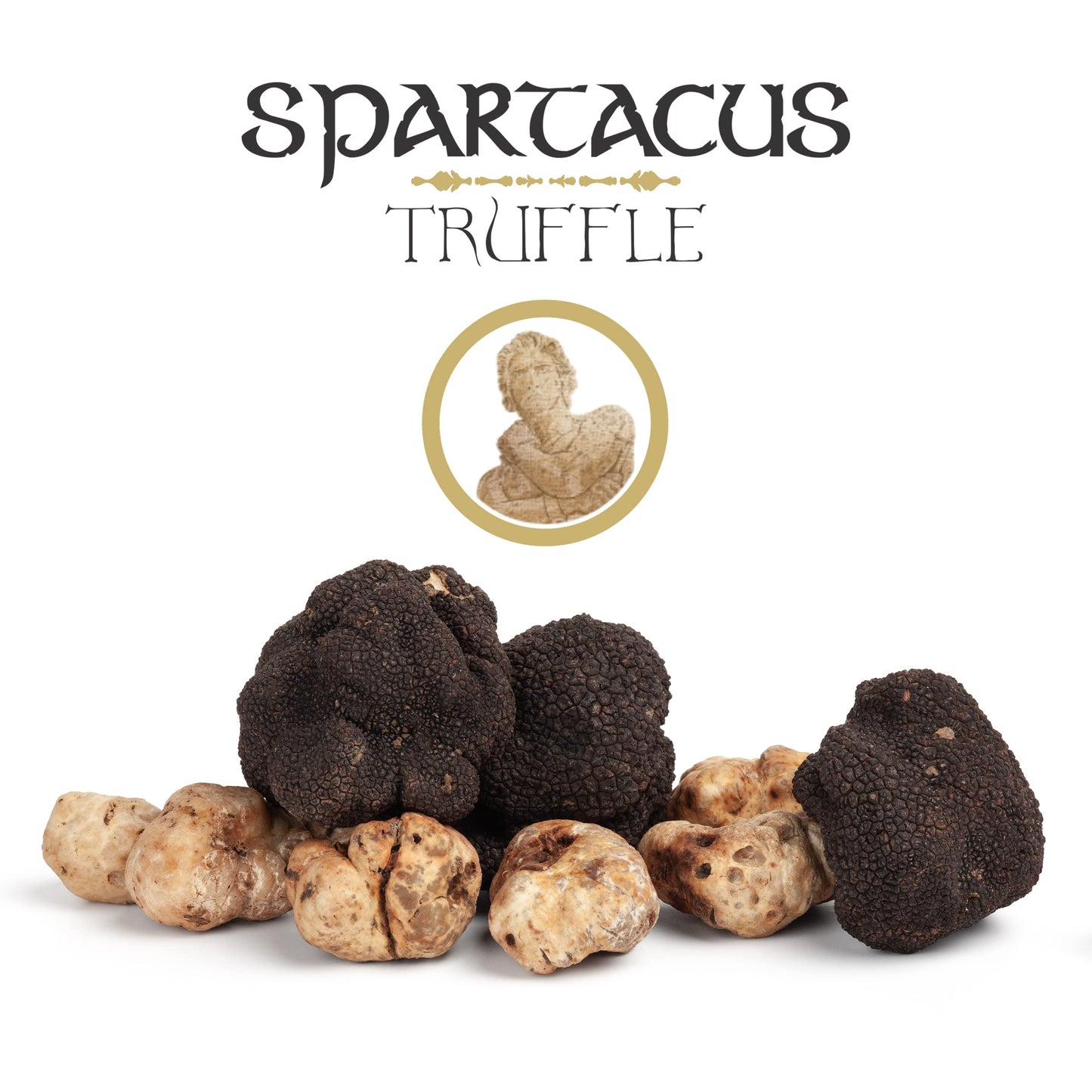 Spartacus White Olympus Truffle Sauce - Gourmet Truffle Sauce with White Truffle - Premium Sauce & Seasoning for Pasta, Meat, Potatoes & Fine Dining