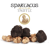 Spartacus White Olympus Truffle Sauce - Gourmet Truffle Sauce with White Truffle - Premium Sauce & Seasoning for Pasta, Meat, Potatoes & Fine Dining