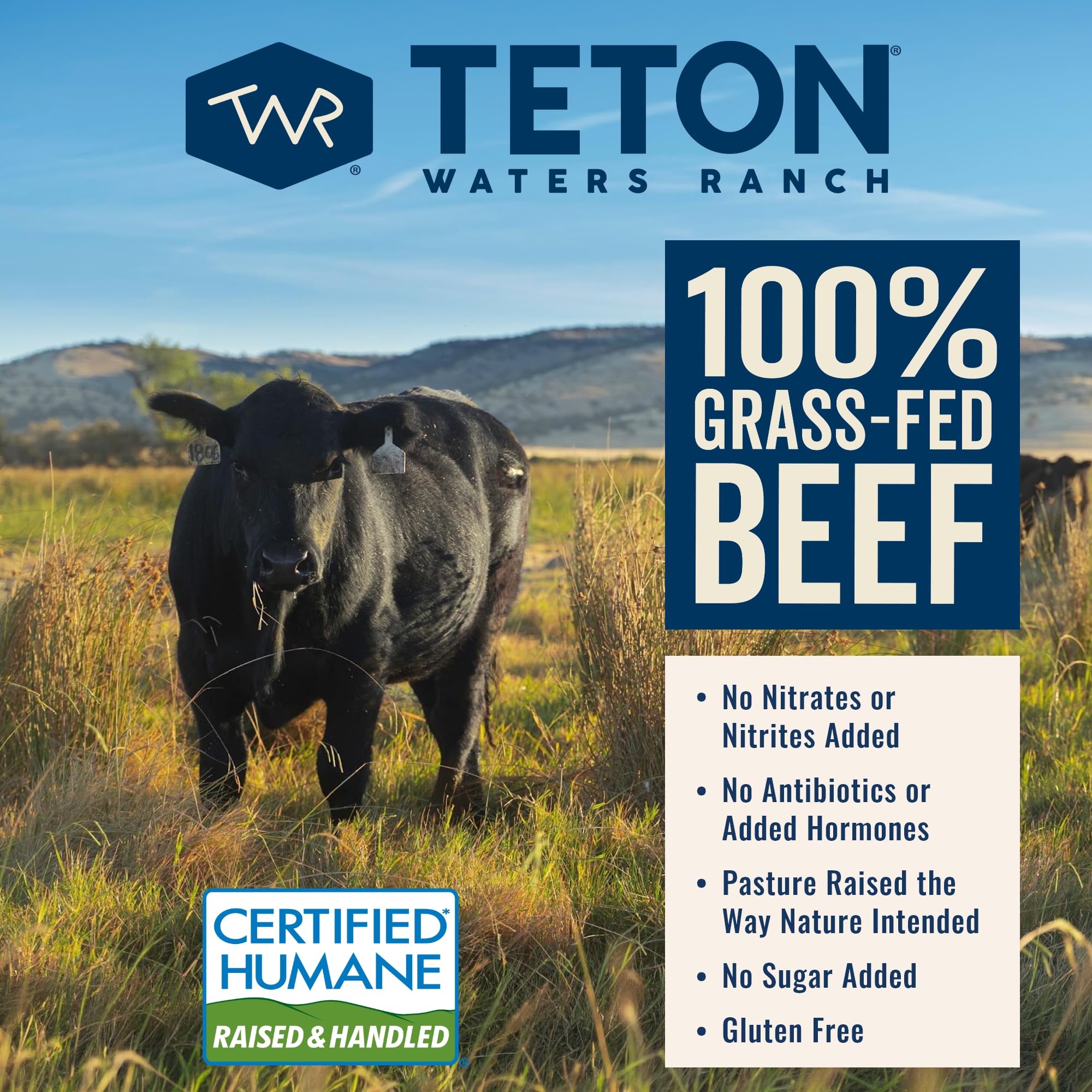 Teton Waters Ranch Breakfast Sausage Links, 100% Grass-Fed Beef, Fully Cooked Breakfast Sausage, Frozen, No Sugar Added, No Nitrites or Nitrates