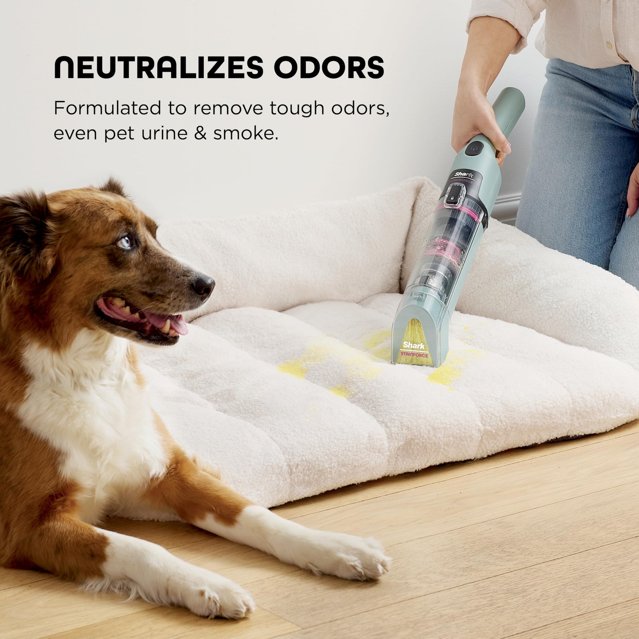 Shark StainForce Dual-Formula Refill Cartridge, Value 2-pack, Stain & Odor Remover for Shark StainForce Portable Stain Cleaner, for Carpet, Area Rug
