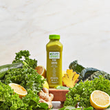 Pure Green Cold Pressed Juice - Pure Greens LG - Fresh Functional Blend with Greens, Lemon, Ginger - Natural, Gluten Free, Non-GMO, No Artificial
