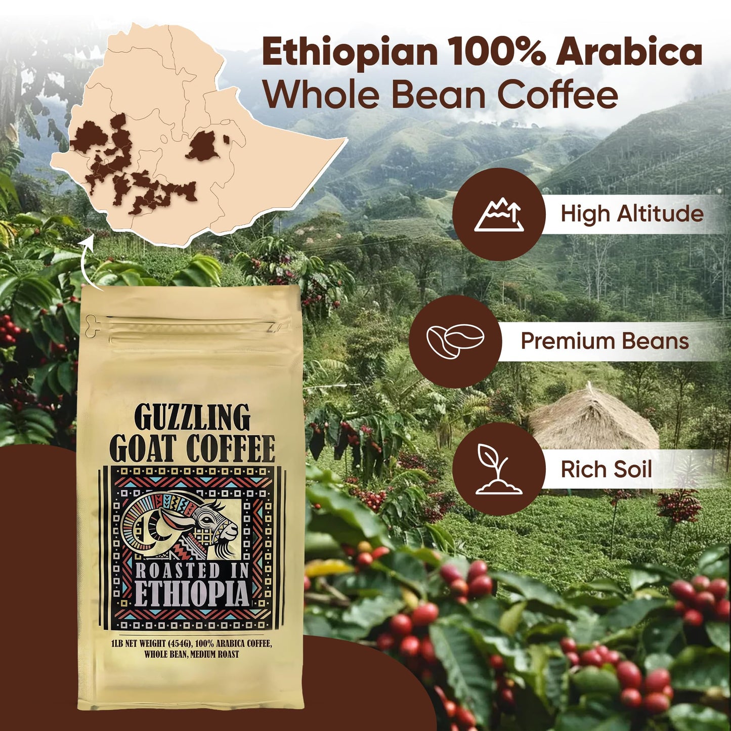 Guzzling Goat Ethiopian Coffee Beans | Premium 100% Arabica Whole Bean Coffee Medium Roast | Strong Flavorful Brew | Sourced & Roasted in Ethiopia | 1