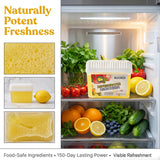 Diatomaceous Earth Gel Refrigerator Deodorizer, More Effective than Activated Charcoal and Baking Soda, Nature-Based Fridge Deodorizer, Eliminates