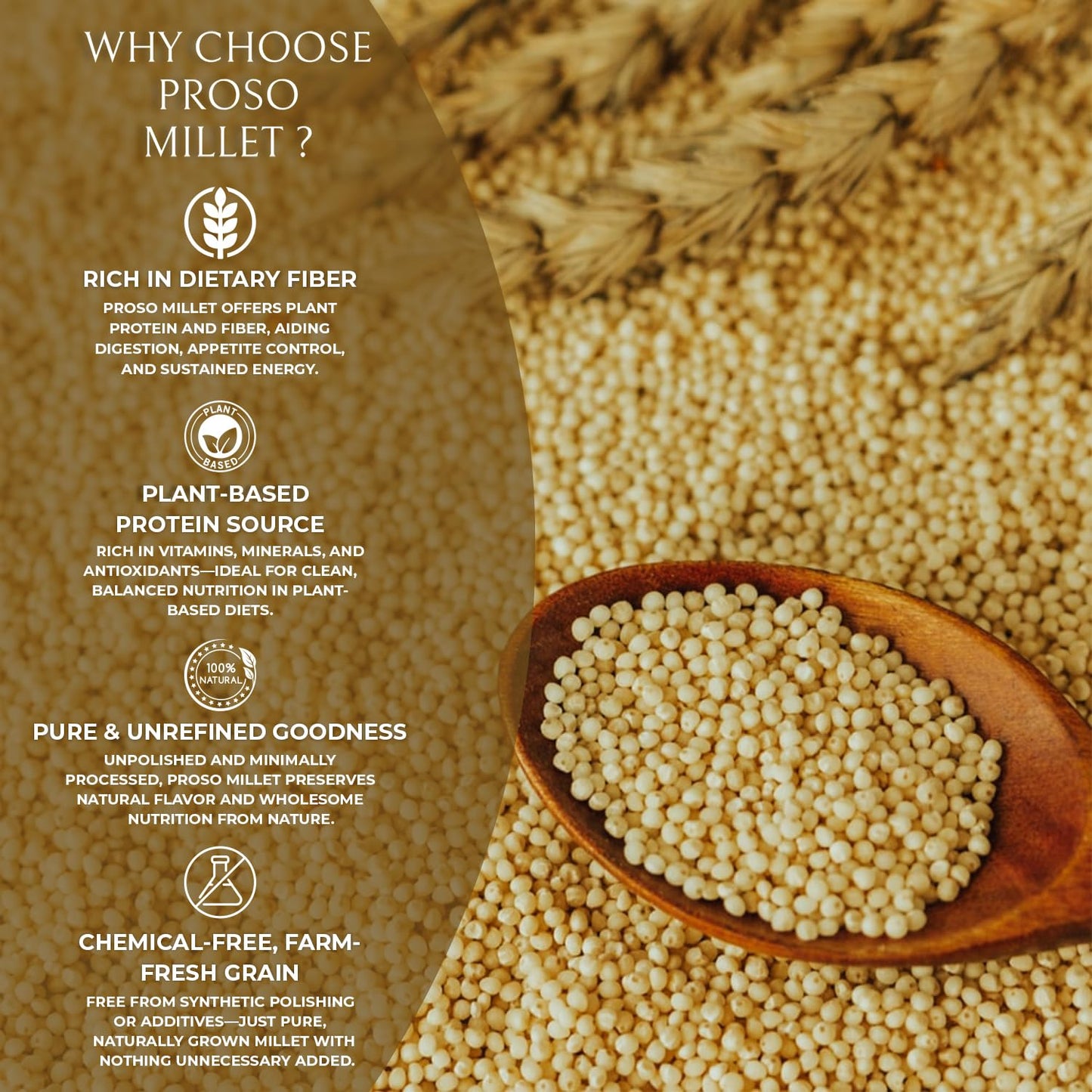 DFOLS Proso Millet Whole Grain Mild Neutral Flavor for Cooking 0.55lb 8.82oz (250g) Premium Quality ???????