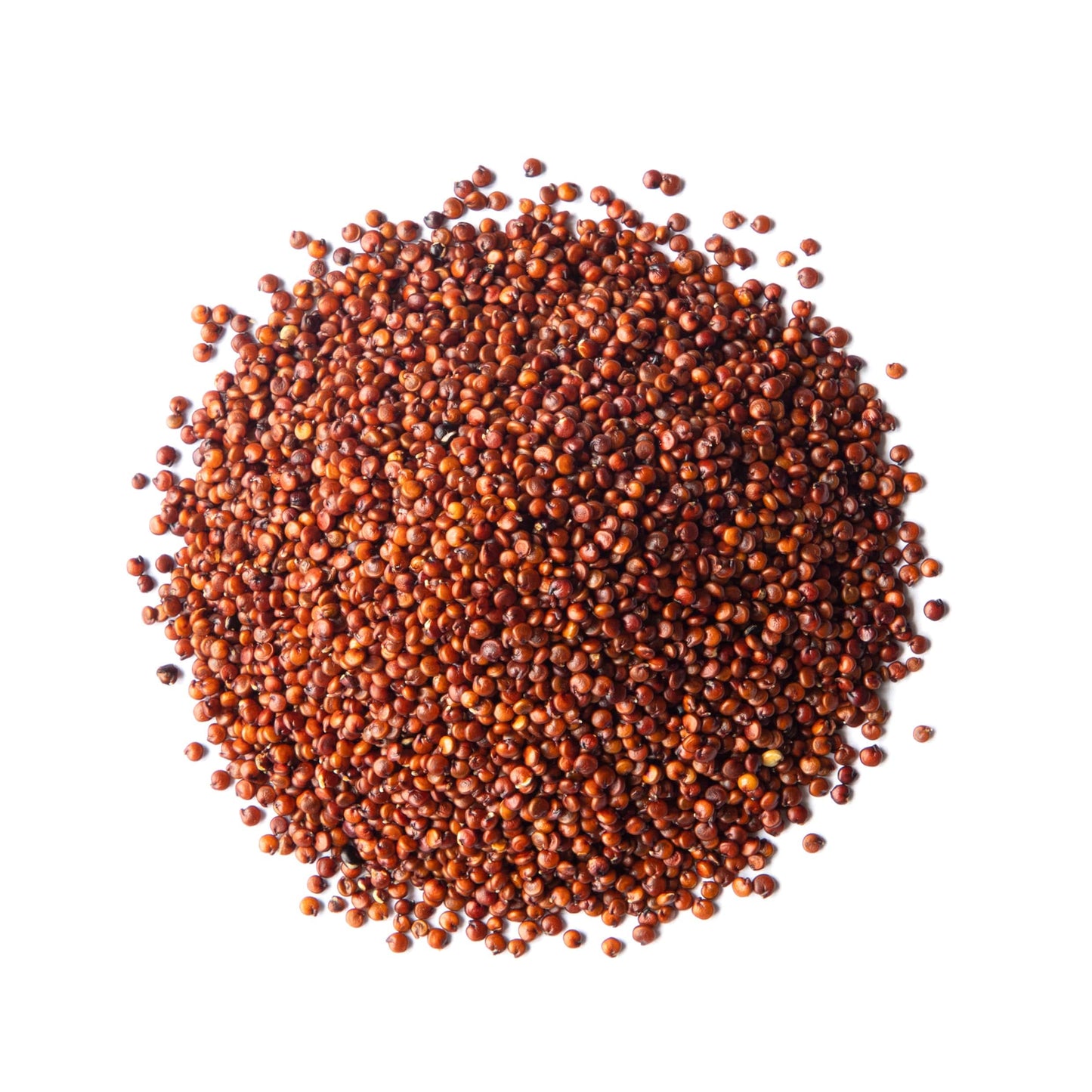 Food to Live Red Quinoa, 1.5 Pounds Ancient Whole Grain Seeds, Raw, Sproutable, Kosher, Vegan, Sirtfood, Bulk. Quick-Cooking Perfect for Salads. Great for Vegetarian diets.