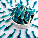 Blue Gummy Sharks Candy, 2 Pound Bulk Bag, The Hampton Popcorn & Candy Company