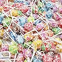 DUM DUMS Lollipops 1 lb - Suckers Hard Candy, Gluten Free, Individually Wrapped Pops (62 Pieces)