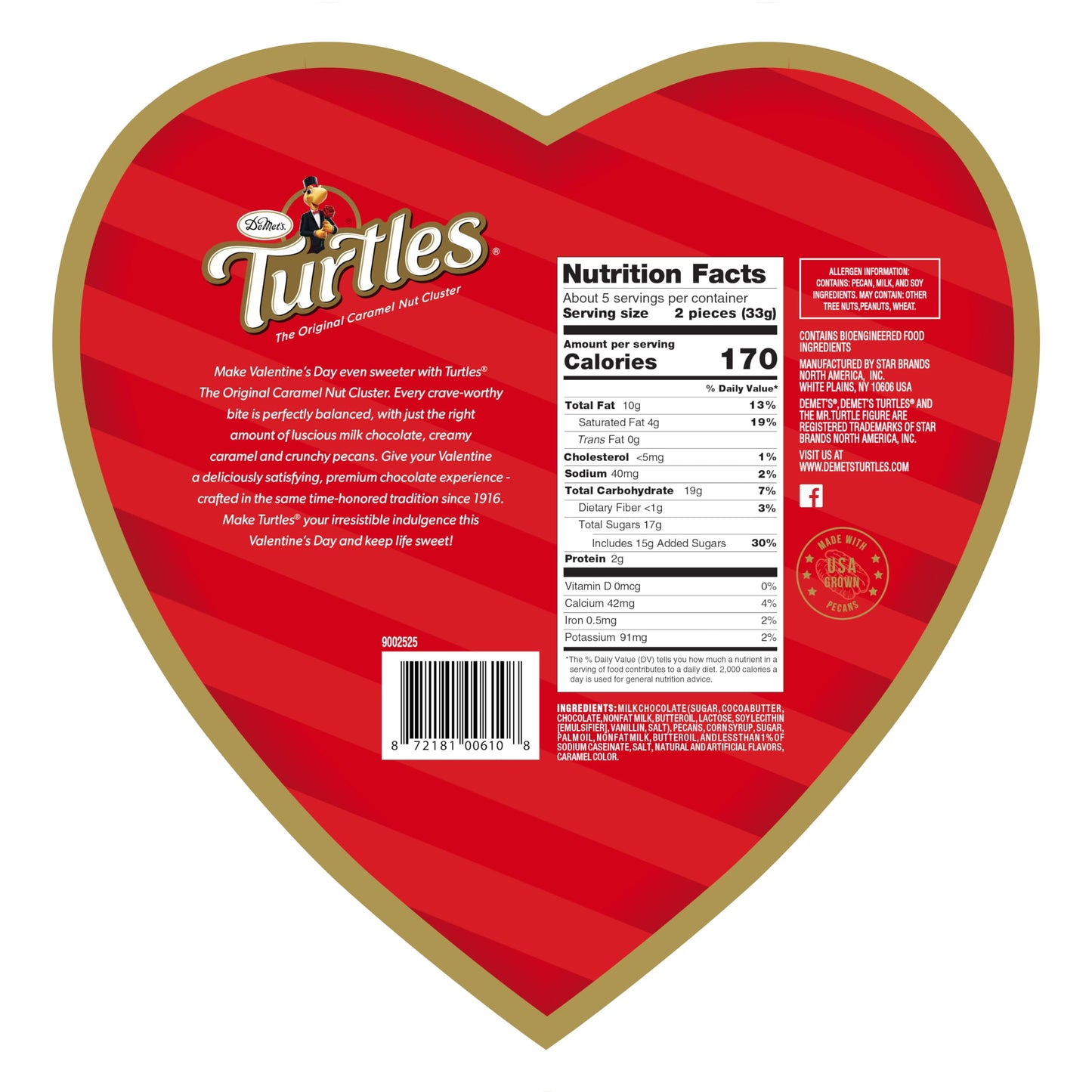 DeMat's, Turtles Valentine's Box, 6.5 Ounce