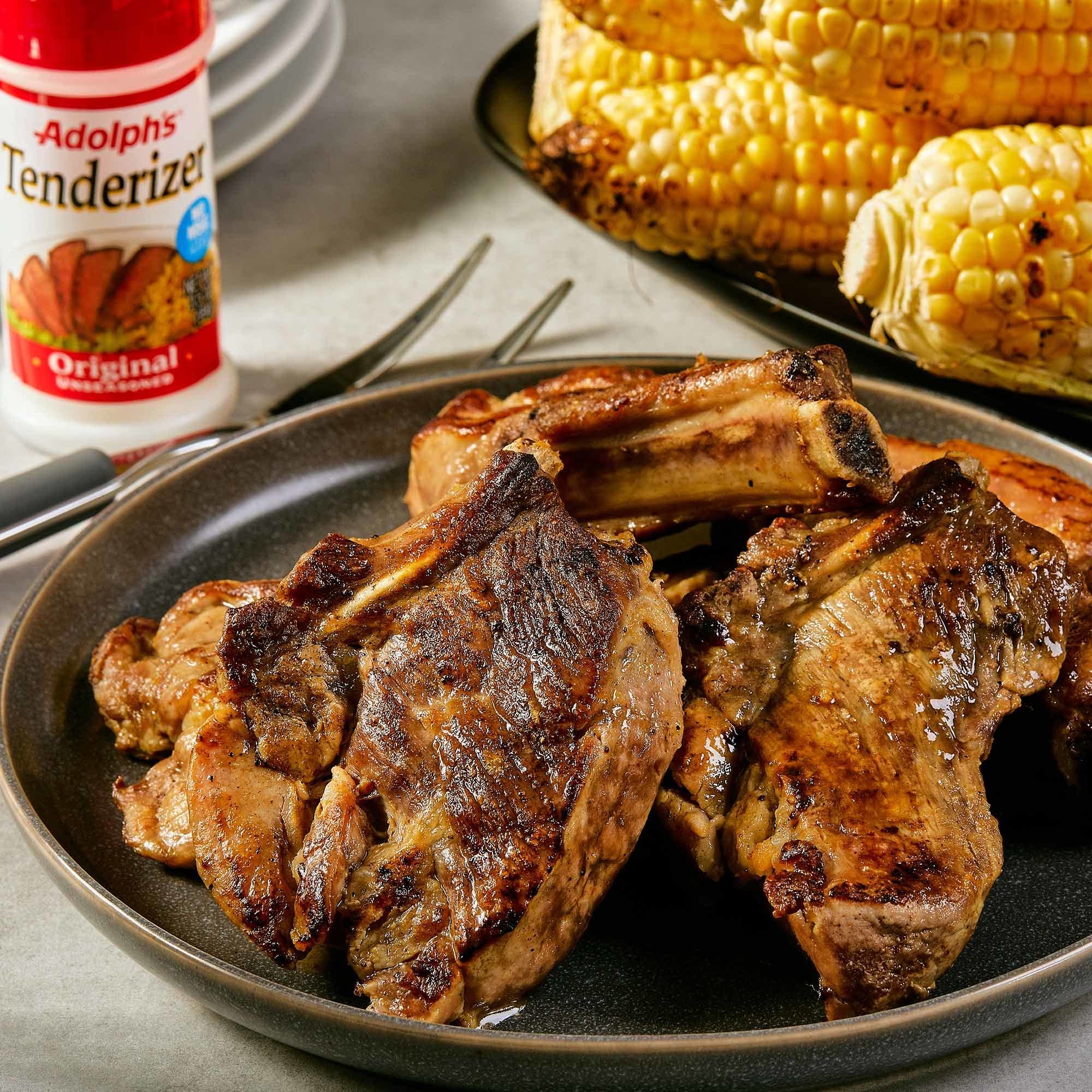 Adolph's Original Unseasoned Tenderizer, 3.5 oz (Pack of 1)