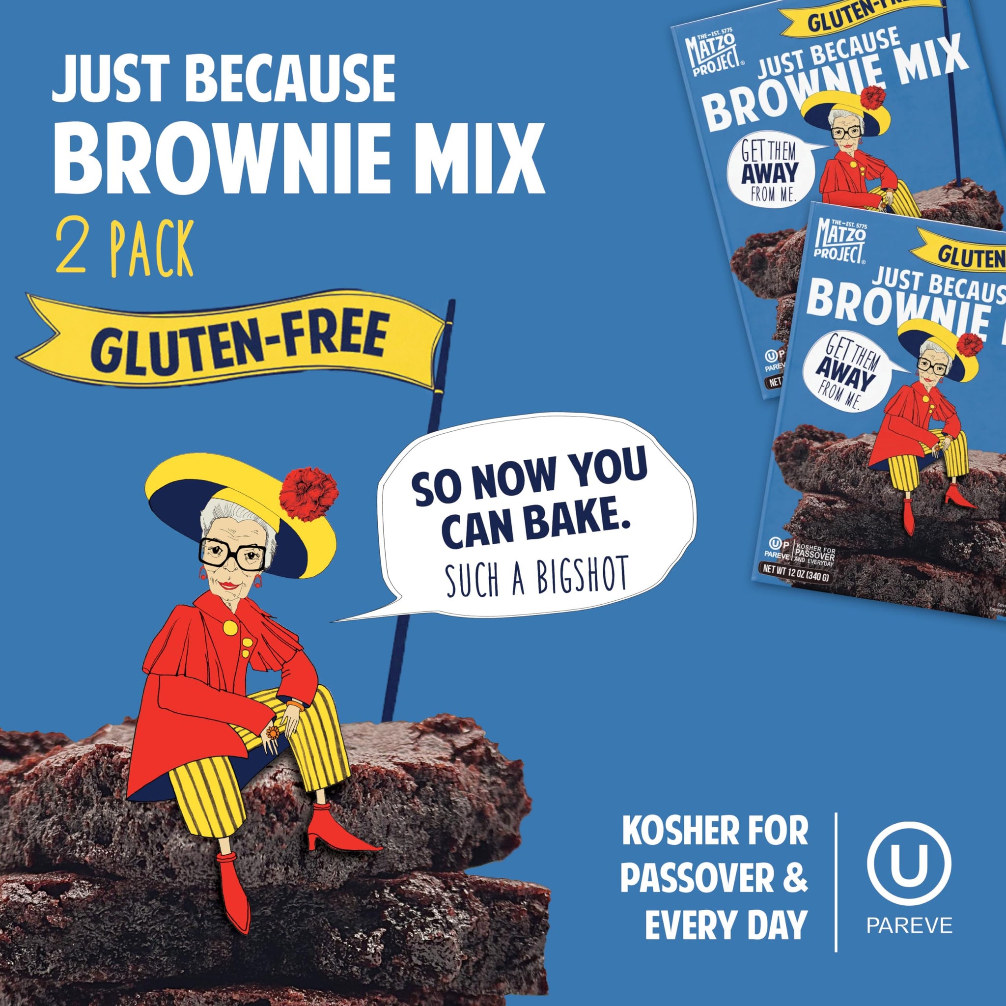 The Matzo Project Just Because Fudge Brownie Mix, 12oz Box (2 Pack) Gluten-Free, Kosher for Passover, Rich and Fudgy, Easy to Bake, Just Add Eggs and Oil, One Bowl
