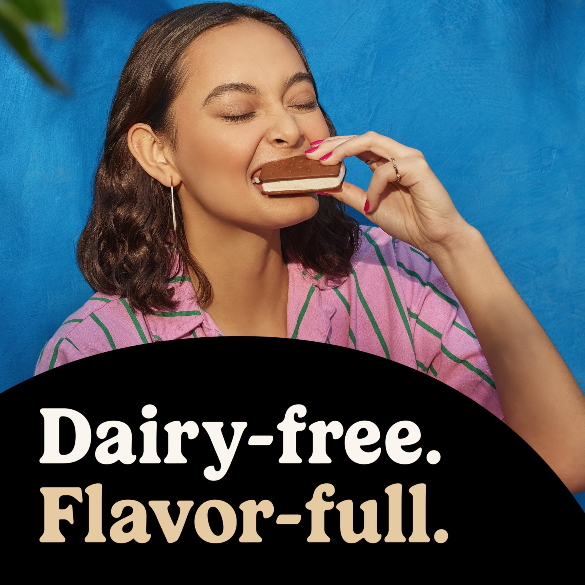 So Delicious Plant Based Blend Frozen Dessert Sandwiches, Strawberry Cheesecake, Dairy Free, Vegan Ice Cream Sandwich Alternative, Non-GMO, Kosher, 6