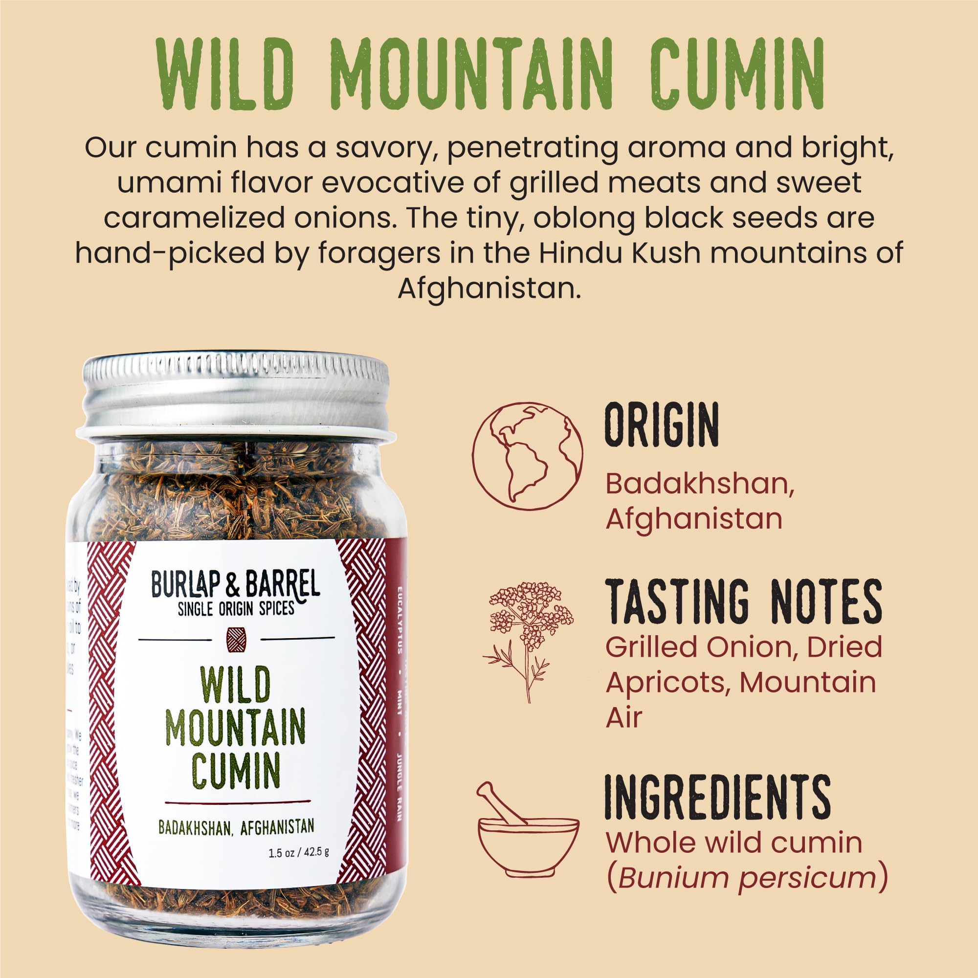 Burlap & Barrel Wild Mountain Cumin - Savory, Aromatic, and Bright Umami Flavor - Whole & Ground Cumin Seeds - As Seen On Shark Tank - 1.8oz Glass Jar