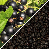 Dried Zante Currant Raisins by Its Delish, 5 Lbs Bulk Bag | Black Currants Dried Fruit for Snacking and Baking | Vegan, Kosher