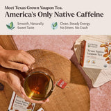 CatSpring Yaupon Lost Maples Medium Roast Yaupon Tea, 16 Teabags, Naturally Caffeinated, Sustainable and Wild-Harvested, Bold and Smooth, Non-Bitter