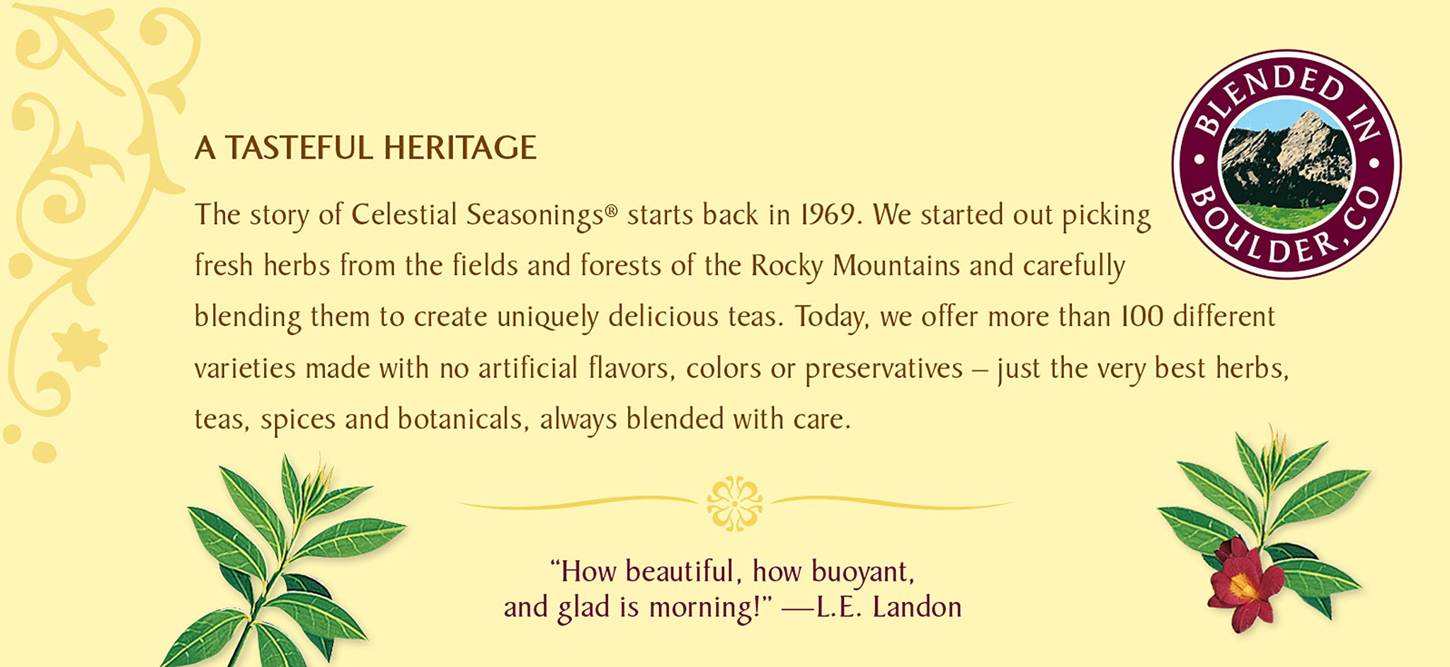 Celestial Seasonings Black Tea, Morning Thunder, 20 Count