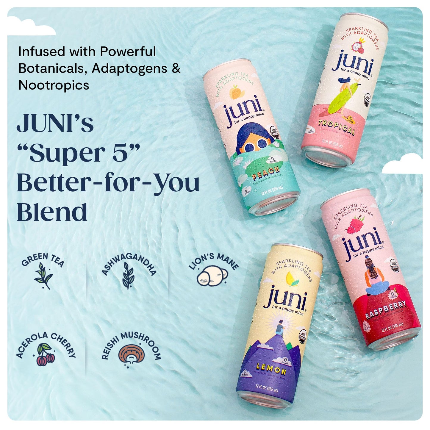 Juni Sparkling Adaptogen Drink with Ashwagandha, Lion’s Mane & Reishi Mushrooms | Green Tea for Focus, Zero Sugar, 5 Calories, Organic | Non Alcoholic