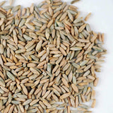 35 Lb Bulk Organic Rye Grain Seeds - Rye Seed for Sprouting Rye Berries, Rye Seeds for Organic Rye Flour, Rye Meal, Rye Pasta, Marble Rye Bread, Rye