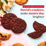David’s Cookies Mother’s Day Mini Cookies Gift Sampler Tin - 14oz Fresh Baked Assorted Cookie Bites in Chocolate Chip, White Chocolate Chip & Red