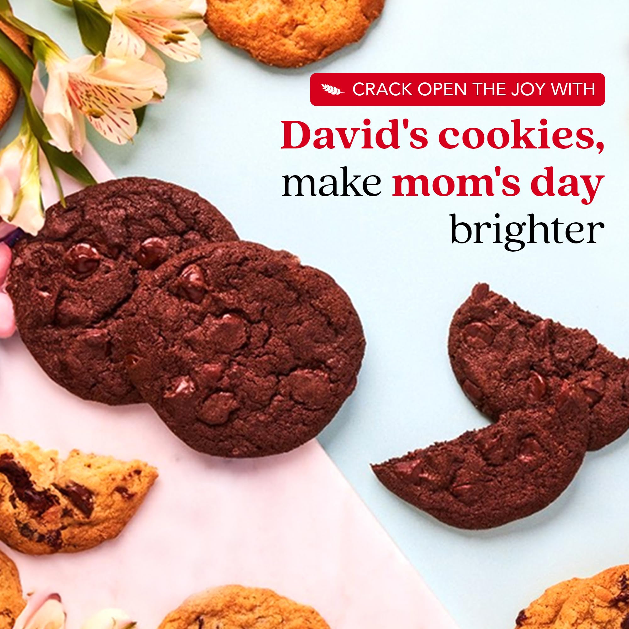 David’s Cookies Mother’s Day Mini Cookies Gift Sampler Tin - 14oz Fresh Baked Assorted Cookie Bites in Chocolate Chip, White Chocolate Chip & Red
