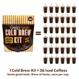 GRADY’S COLD BREW, New Orleans Style, 100% Arabica Ground Coffee & Chicory Pouches, All-in-One Cold Brew Kit with 12 Easy-to-Brew Beans Bags, Makes 36