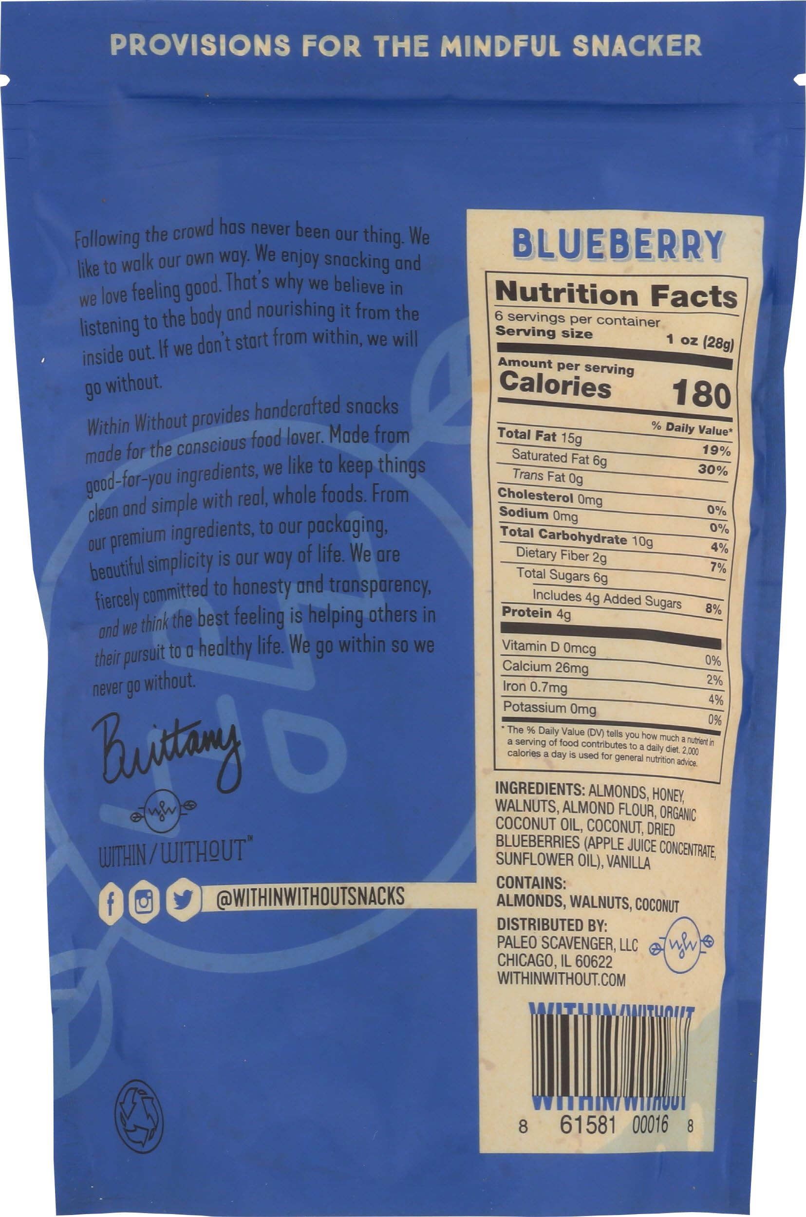 Within / Without Blueberry Grain Free Chewy Granola, Keto Friendly, Gluten Free Low Carb Snack