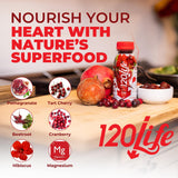 120/Life Blood Pressure Support, Beet Root Juice, Pomegranate Extract, Cranberry Juice, Tart Cherry, Hibiscus, and Magnesium (8 Fl Oz, Pack of 14)