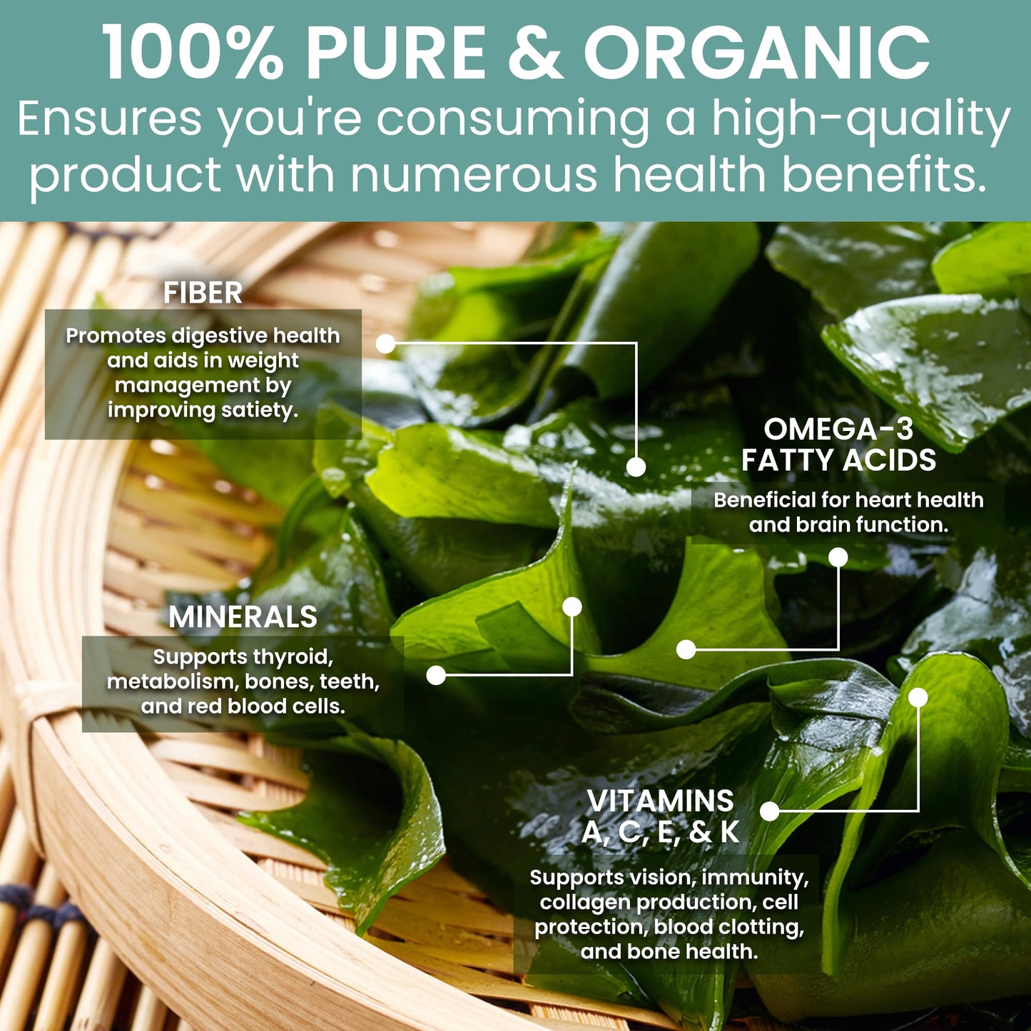 Holistic Bin Wakame Seaweed Flakes | Wild-Caught Atlantic Wakame for Miso Soup, Ramen, Salad Mix Recipes, & Healthy Snacks | Dried Seaweed/Nori