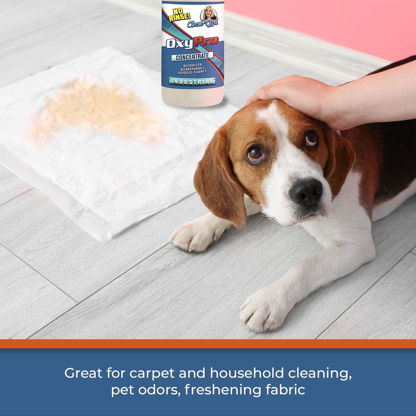 Chem-Girl OxyPro Concentrated Multi-Purpose Surface Cleaner to the Rescue - Chlorine-Free, Oxygen-Powered Stain & Odor Remover, 5 Percent Hydrogen